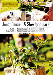 flyer_jungpflanzen_20_3_2017_1