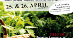 Pflanzenflyer_online-1